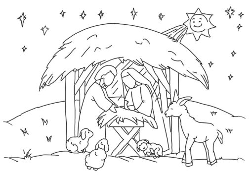 XN6 colour in nativity